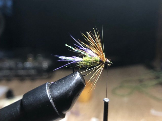 campbell argyll.jpg