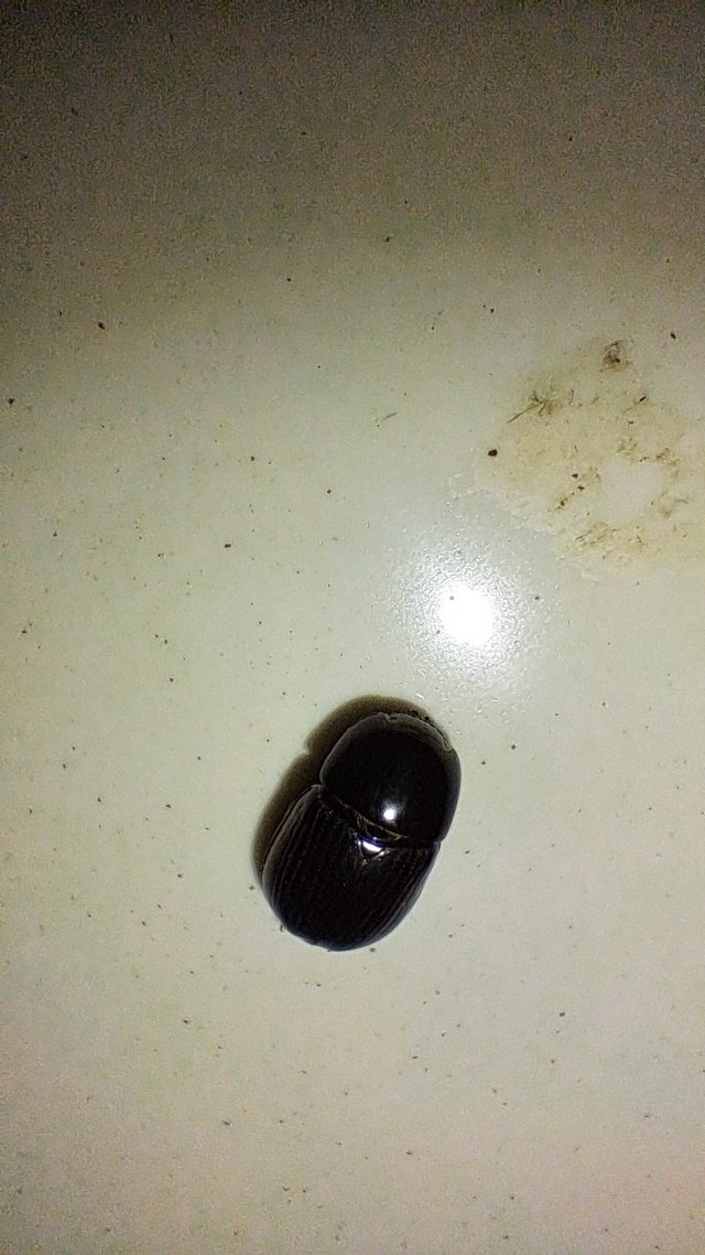 20240329_203517.jpg