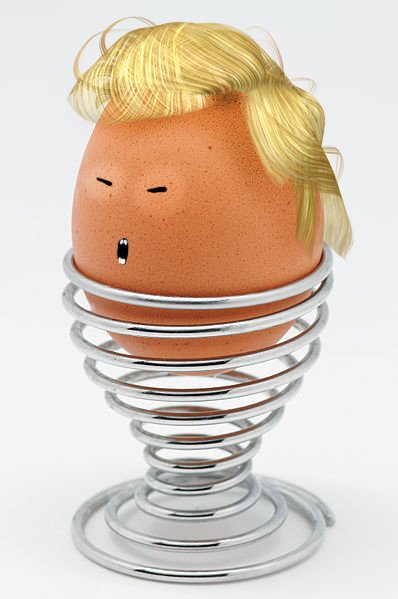 egg