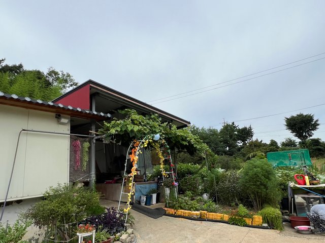 IMG_3172.jpeg