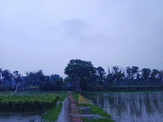 IMG_20250802_083257.jpg