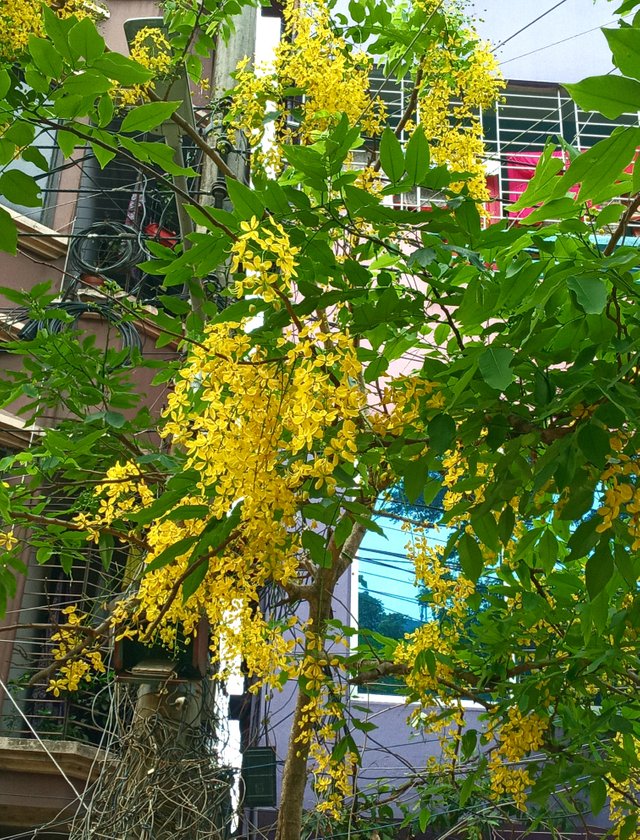 20230503_073619.jpg