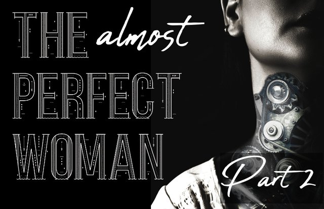 the_Perfect_Woman_2_cover.jpg