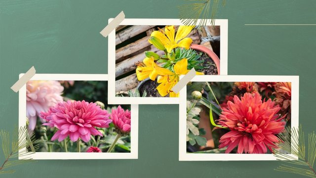 Green Collage Happy Birthday Video.jpg