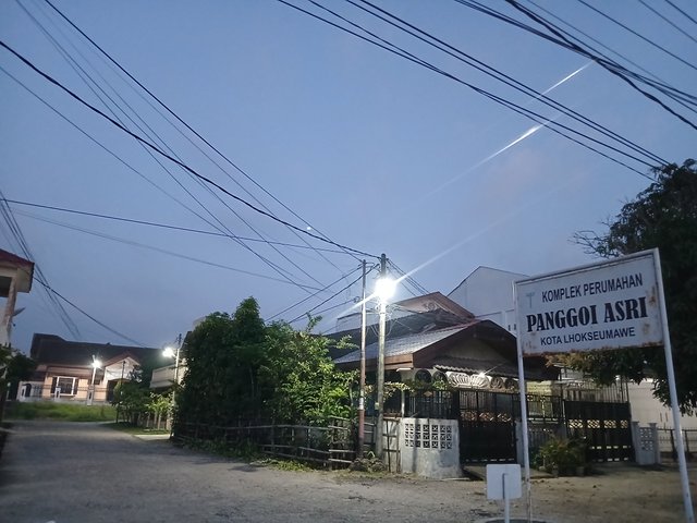 1000229004.jpg