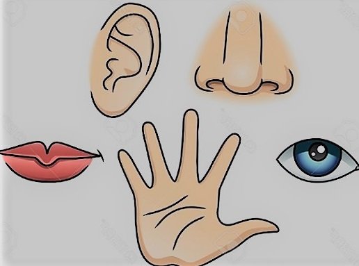 5-senses-clipart-1.jpg