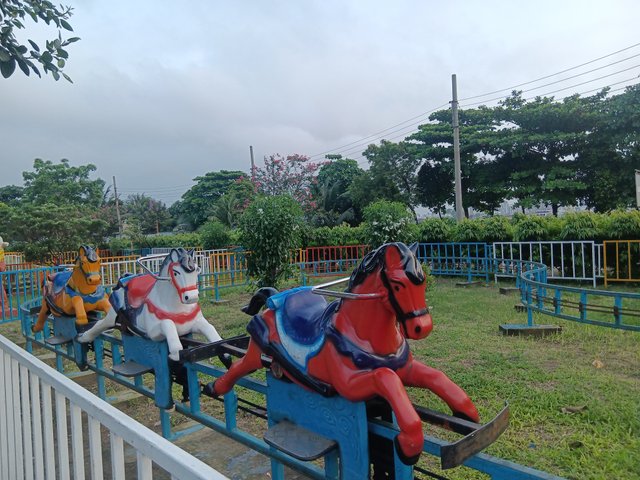 1000036464.jpg