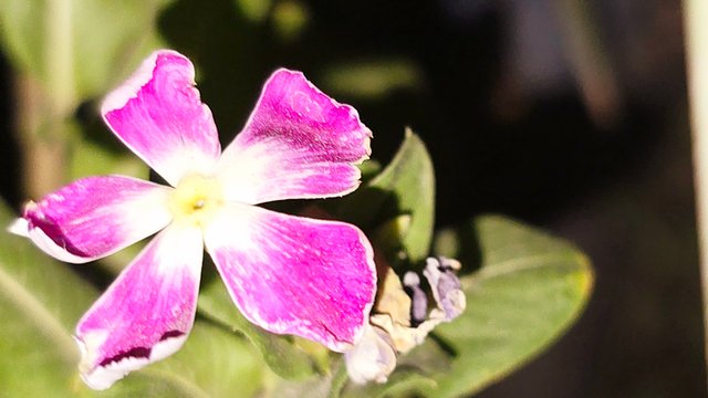20250706_021749.jpg