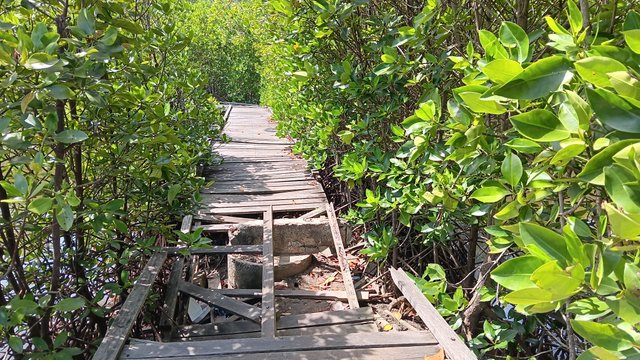 20250511_110034.jpg