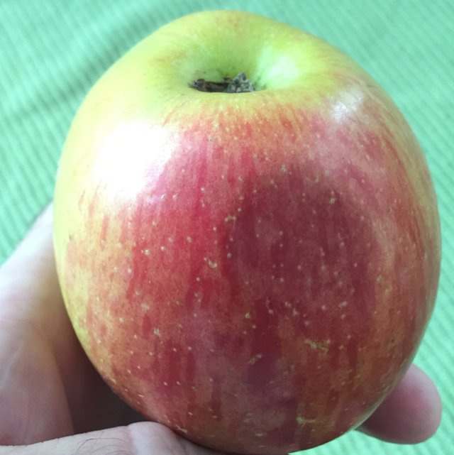 apple.JPG