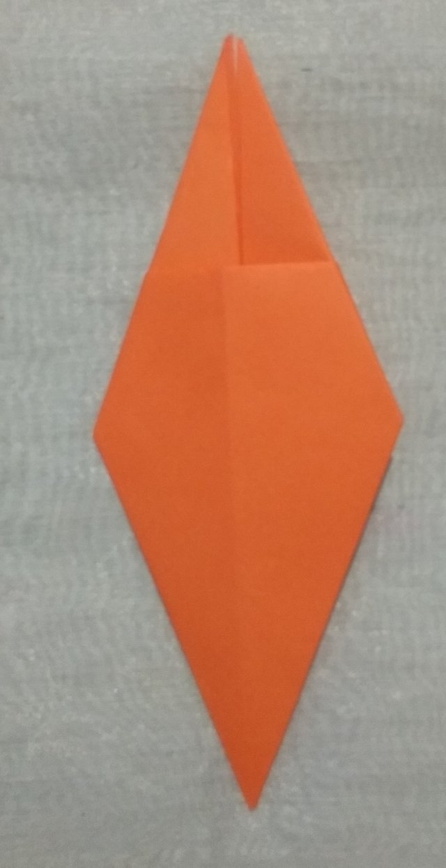 o11.jpg