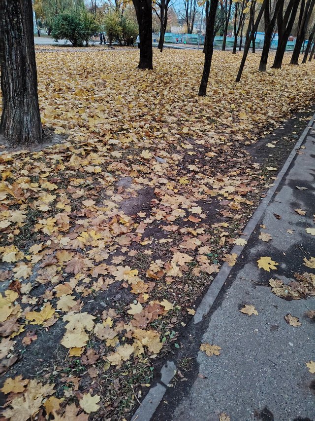 1000016751.jpg