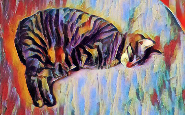 abstract cat.jpg