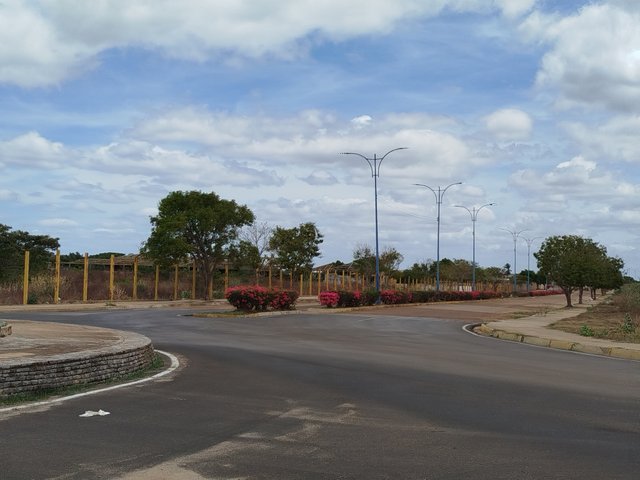 1000358976.jpg