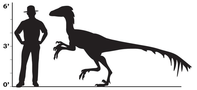 troodon-size-comparison.jpg