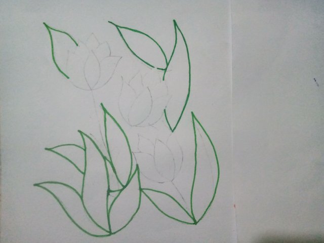 IMG20251012131824.jpg