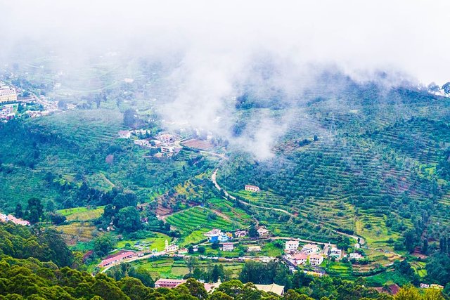 Village In A Hill At Nilgiri Forest Ooty Landscape Of Ooty Tamil Nadu India  Stock Photo - Download Image Now - iStock