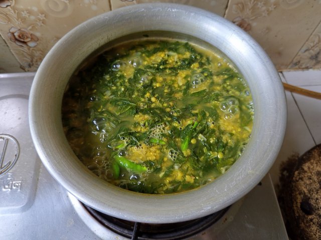 patshak (17).jpg