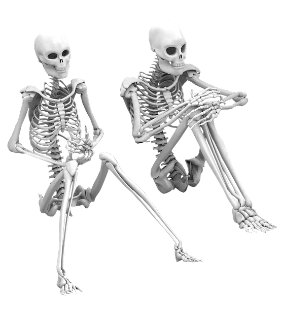 skeleton-2952199_640.png