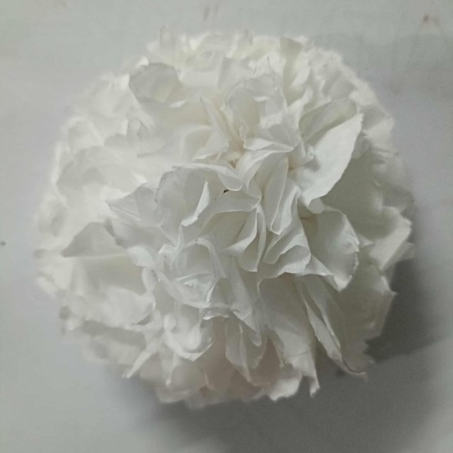 319e0069-669d-4f5d-928d-b50efdd911b6.jpeg