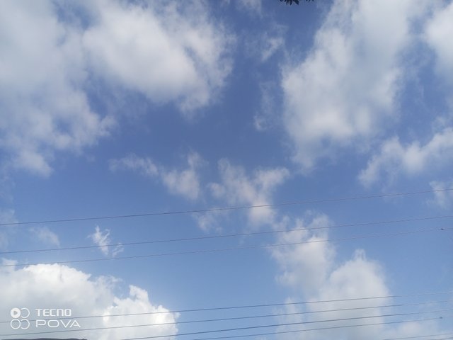 IMG_20250812_164817_859.jpg