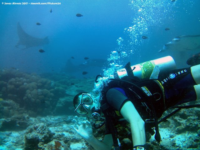 scuba-diving-maldives-2017.jpg
