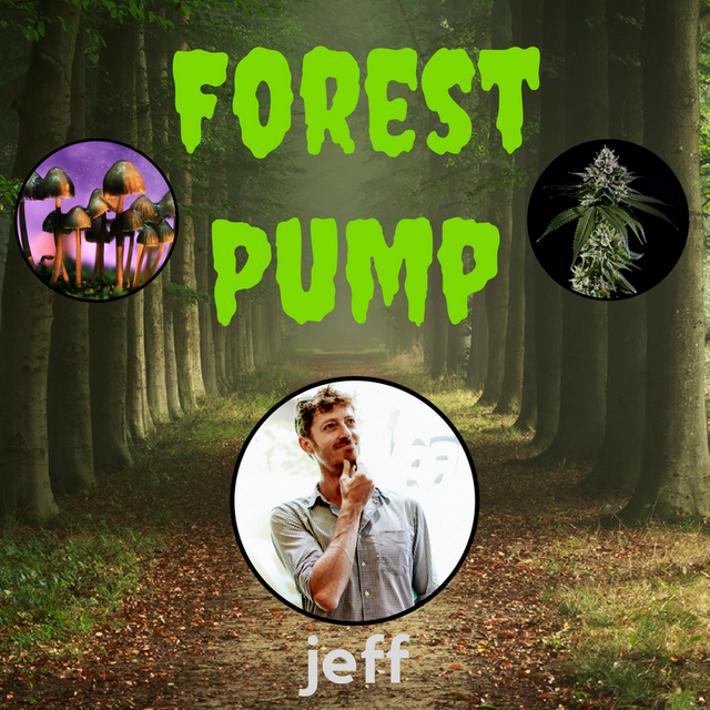 forest pump pic.png