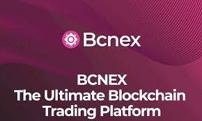 bcnex bounty image.jpg