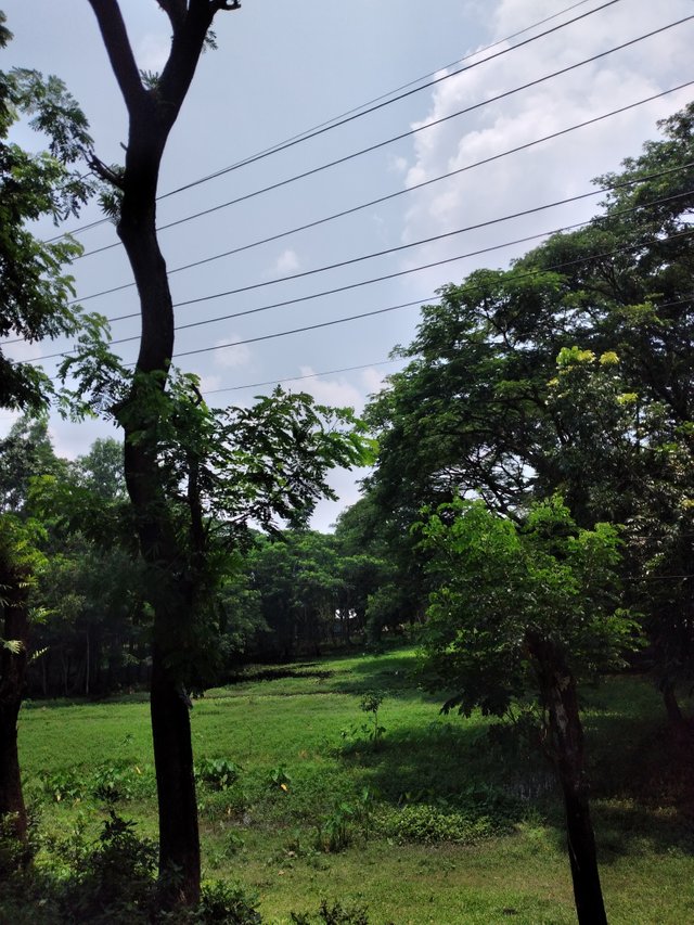 20250609_112959.jpg