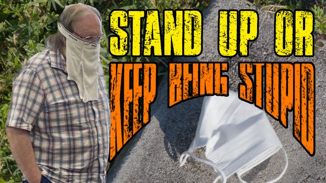 Stand Up Or Keep Being Stupid.jpg