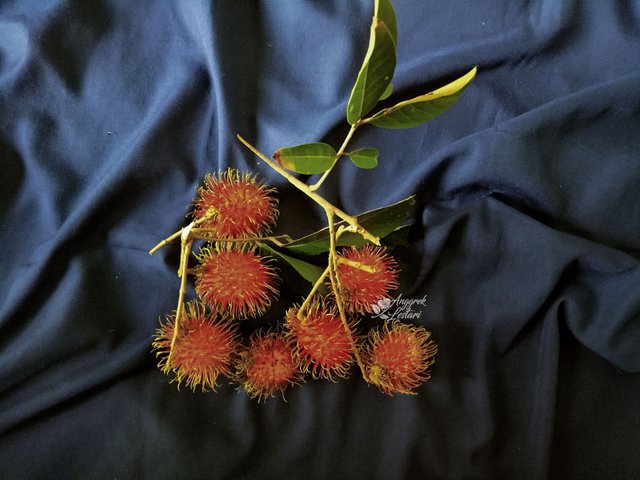 RAMBUTAN.jpg