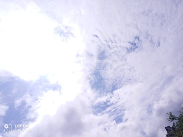 1000029572.jpg