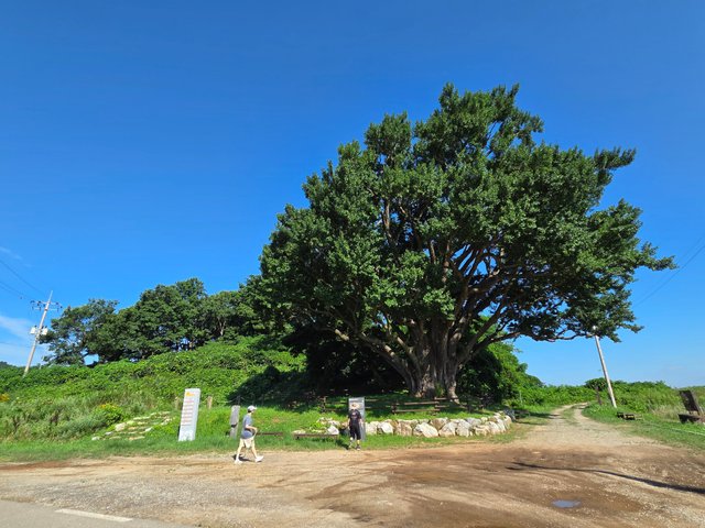 20250807_091419.jpg