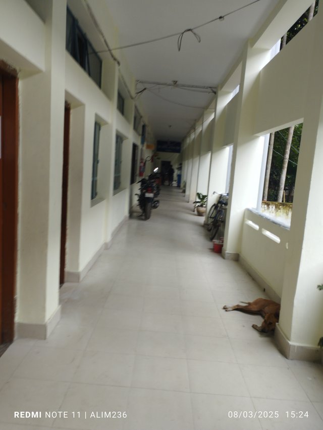 IMG_20250803_152402.jpg