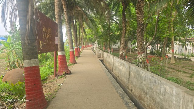 20250515_072507.jpg
