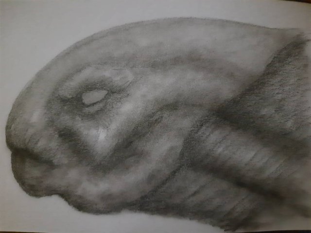20250714_110721.jpg