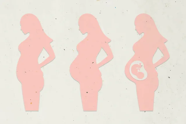 paper-craft-pregnant-woman-character-set-vector_53876-164287.webp