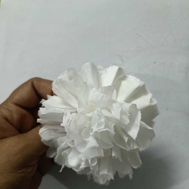 b48c118b-70d4-4c57-b3c9-2a8ae0c61677.jpeg