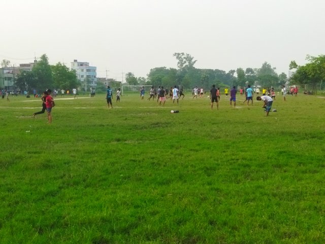 IMG_20241021_171225.jpg