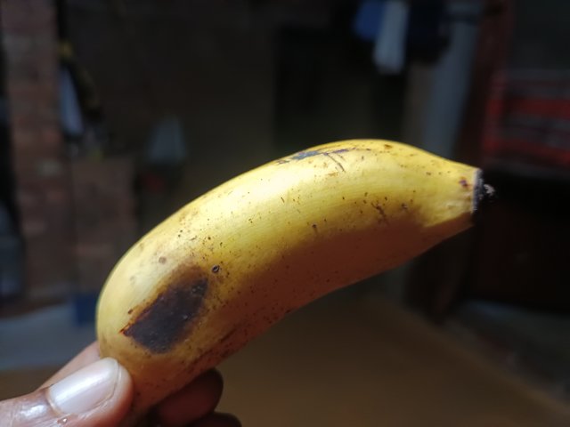 1000013863.jpg