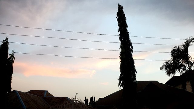 20250420_183855.jpg