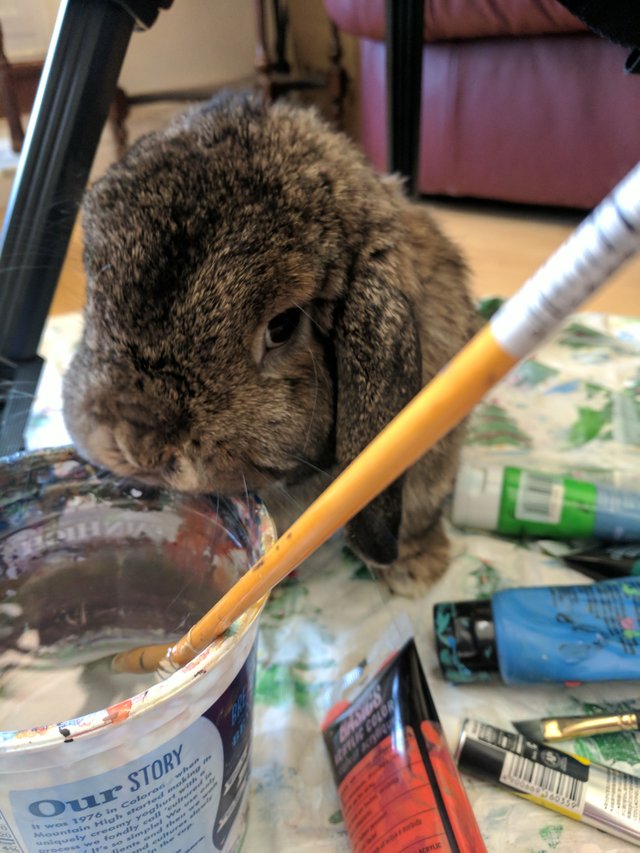a brown floppy-eared rabbit sniffing at a cup full of water with a paintbrush in it.