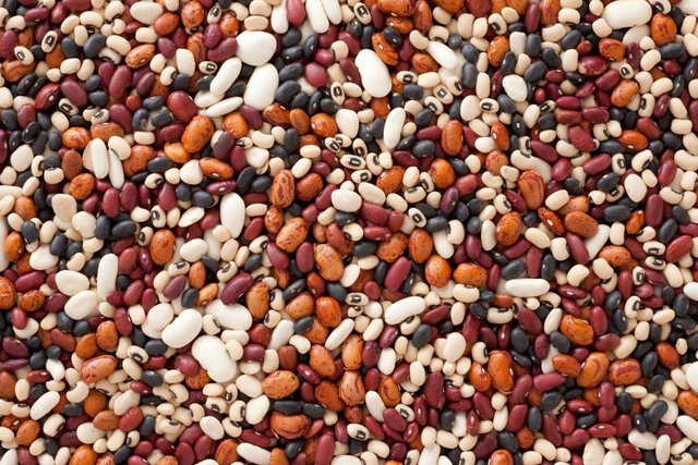 a-variety-of-beans.jpg