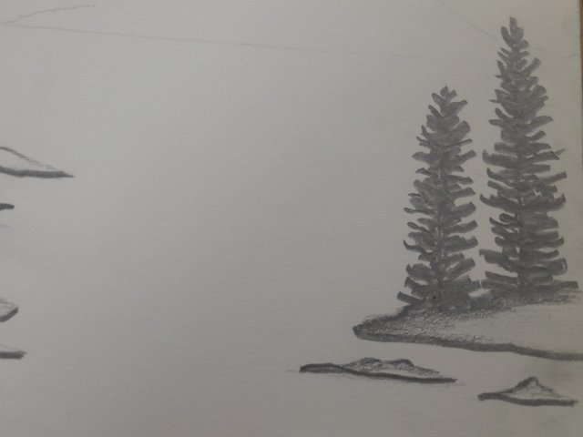 1000121425.jpg