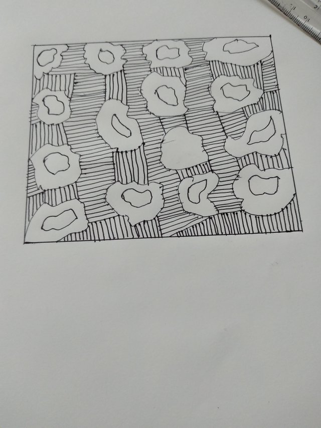 20250727_212052.jpg