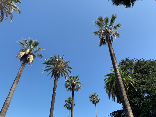 Beverly Hills1.jpg