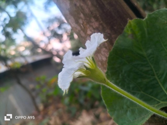 IMG20250328174835.jpg