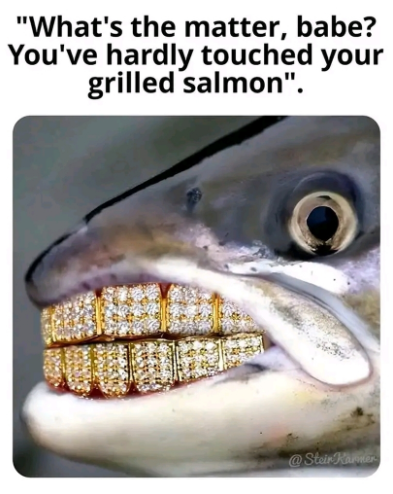 v82.png