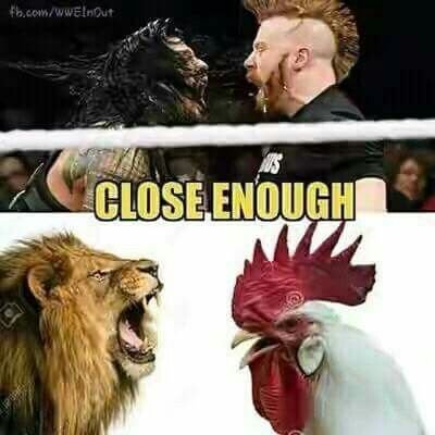 roman reign vs sheamus.jpg