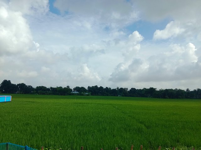 IMG_20250927_064520.jpg